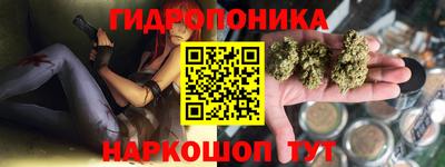 Альфа ПВП Моздок