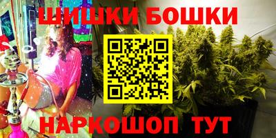 Альфа ПВП Моздок
