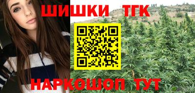 Альфа ПВП Моздок