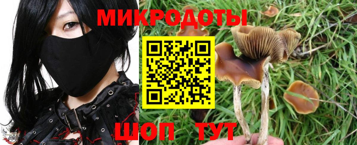 Галлюциногенные грибы GOLDEN TEACHER Великий Устюг